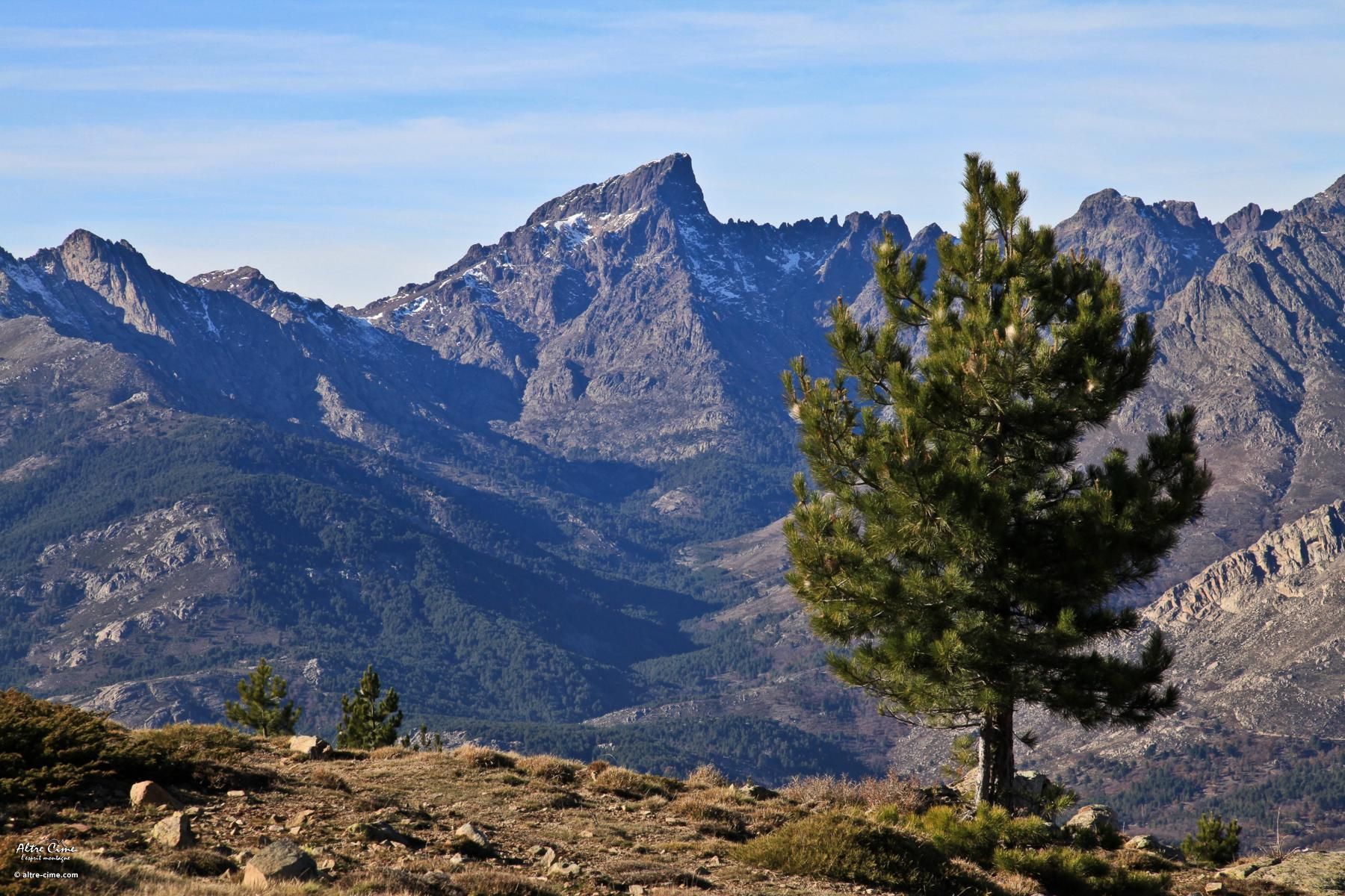 Site de cougard